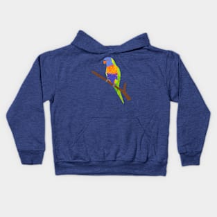 Rainbow Lorikeet on a Twig Kids Hoodie